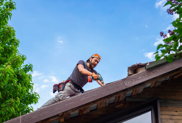 Best Chimney Flashing Repair  in Pleasant Hill, TX